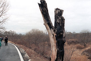 <span class="mw-page-title-main">Korean axe murder incident</span> 1976 killing of U.S. Army officers by North Koreans