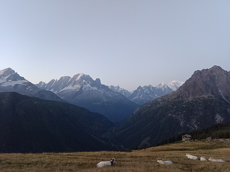 File:Dent du Géant sunrise @ Montagne de Loriaz.jpg