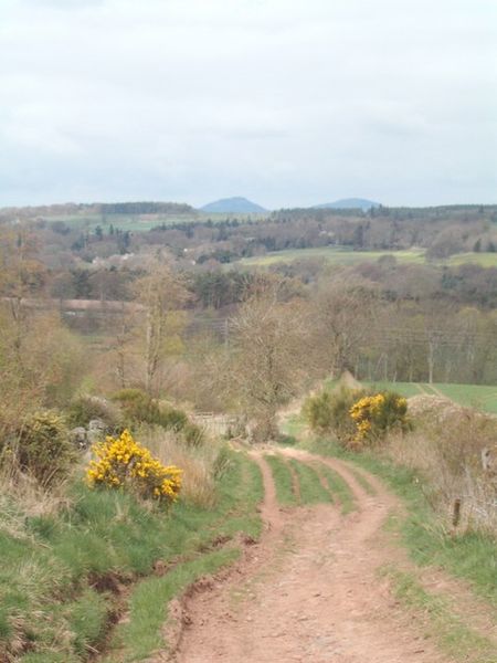 File:Dere Street Bonjedward Scottish Borders 002.jpg