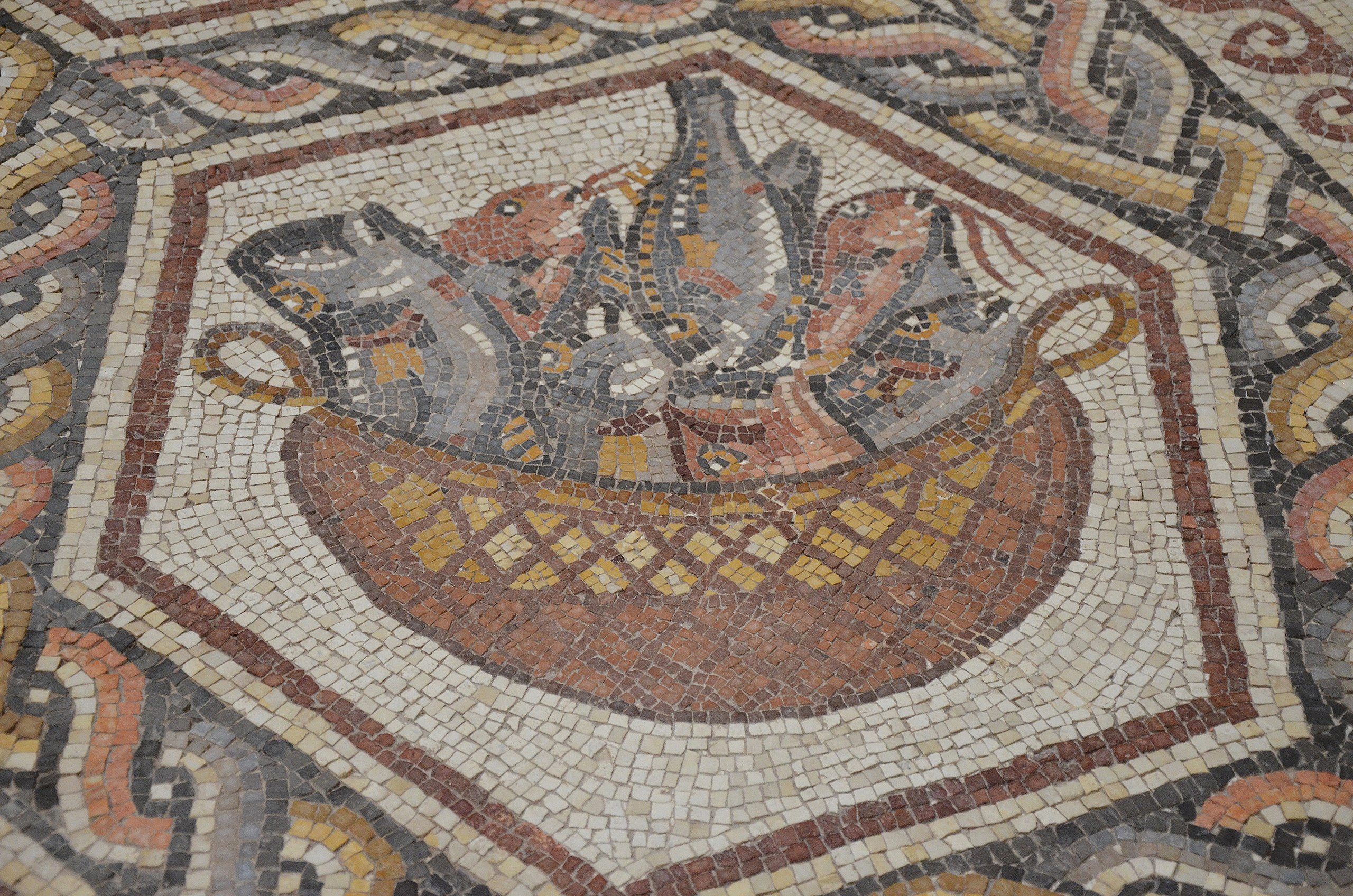 5792. The Lod Mosaic, a 3 rd. C. Roman mosaic from a Roman villa excavated  in the city of Lod near Tel-Aviv. Detail shows varrious fish Stock Photo -  Alamy