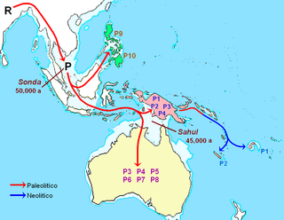 <span class="mw-page-title-main">Haplogroup P (mtDNA)</span> Human mitochondrial DNA haplogroup