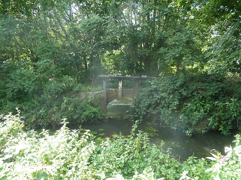 File:Disused sluice gate by Hailsham Mill - geograph.org.uk - 3075998.jpg
