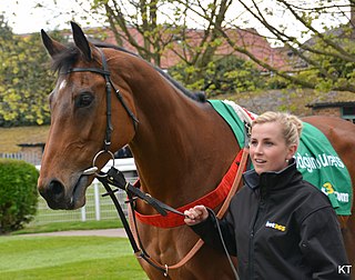 Dodging Bullets British-bred Thoroughbred racehorse