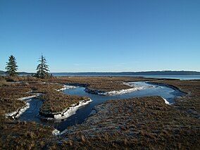 Dosewallips State Park Estuary.JPG