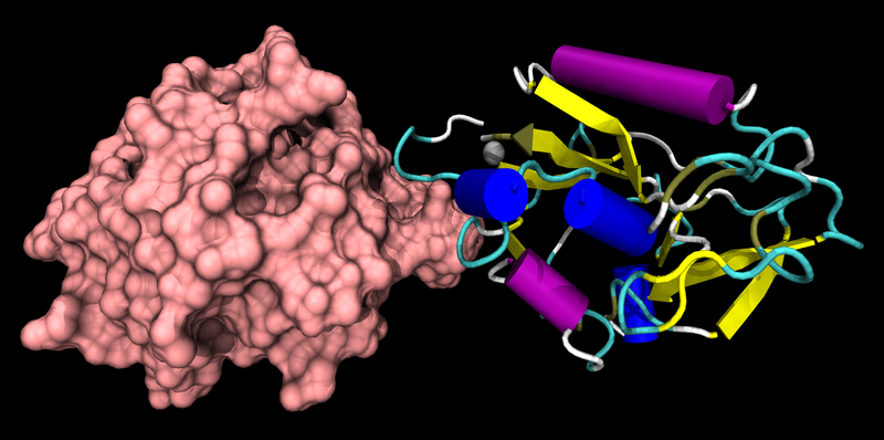 File:Endostatin 1BNL.png