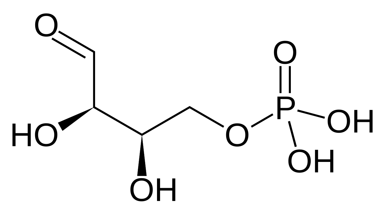 Erythrose 4-phosphate.svg