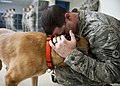 Every military working dog has his day 120323-F-OH250-042.jpg