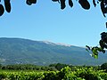 Le Mont Ventoux, Vaucluse