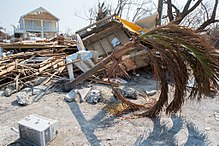 Storm damage in a neighborhood on Big Pine Key FEMA - DSC7043 -Big Pine Key neighborhood devastated by Irma.jpg