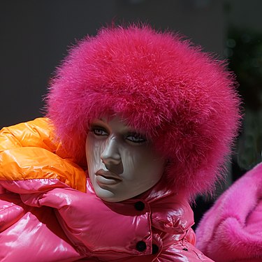 dummy in a shop window