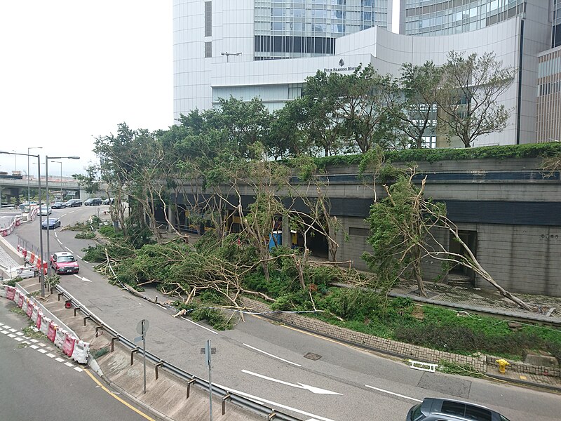 File:Fallen Trees on Finance Street after Typhoon Mangkhut.jpg