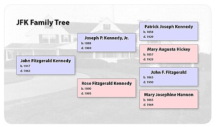 Joseph Kennedy Family Tree Chart