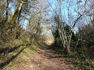 <span class="mw-page-title-main">GR 36</span> Walking trail in France