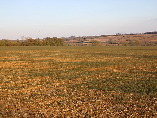 Farmland near Rollright Stones - geograph.org.uk - 3398864