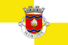 Flag of Catete