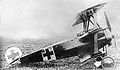 Fokker Dr.I.