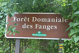 Forêt domaniale des Fanges (1).jpg