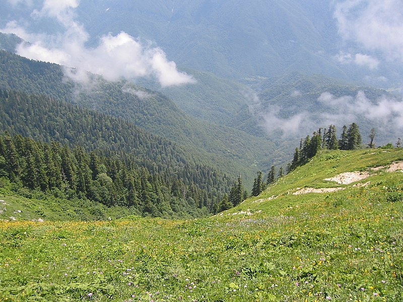 File:Gagra Mountains, Abkhazia, Montane meadows.jpg