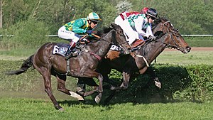 Galopprennen auf der Rennbahn Saarbrücken-Güdingen