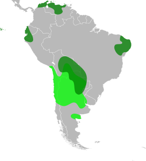 Geoffroea distribution.svg