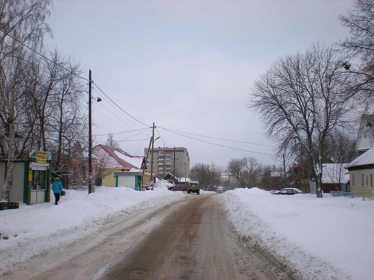 Улица Герцена (Ижевск) — Википедия