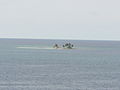 Goffs caye from cruise boat.jpg