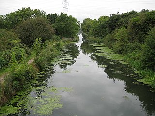 Slough Arm