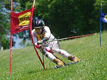 Daniel Gschwandtner in the giant slalom of the Austrian Championships 2010