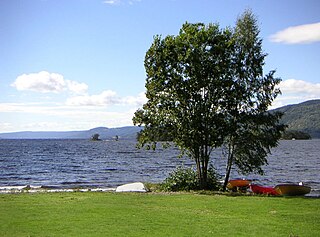 <span class="mw-page-title-main">Randsfjorden</span> Lake in Innlandet, Norway