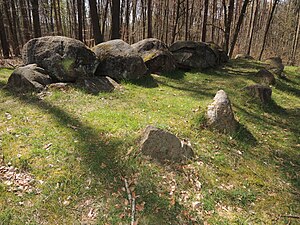 Großsteingrab ALV 14 p6.jpg