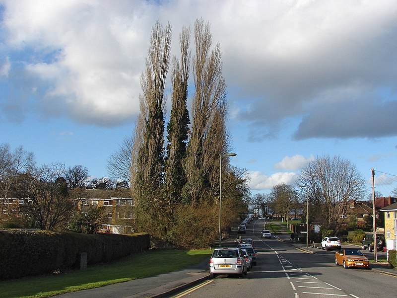 File:Grove Cross Road - geograph.org.uk - 3841288.jpg