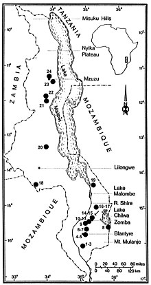 Gulella streptostelopsis map.jpg