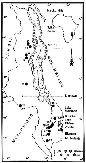 Gulella streptostelopsis map.jpg