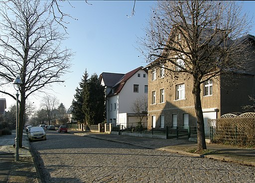 Hannsdorfer Str Kaulsdorf 2012-01-26 AMA fec (30)