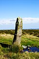 * Nomination A good example of a Dartmoor menhir. The picture is not tilted - the stone is leaning :) -Herbythyme 16:19, 22 September 2009 (UTC) * Promotion Okay, I'm going to believe the creator that it is just the stone that is leaning :) Very good guality, great value too. I wonder, if you know the origin of the small pool. Is it just a rain water? Thanks.--Mbz1 19:36, 23 September 2009 (UTC)