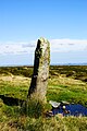 Harbourne Head menhir.jpg