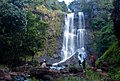 09:35, 25 மே 2018 இலிருந்த பதிப்புக்கான சிறு தோற்றம்