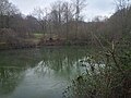 Einer der vom Heilsbach gespeisten und stark eutrophierten Teiche im Derletal