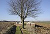 High Tree Cemetery