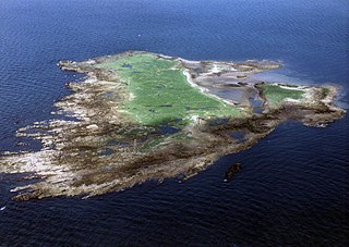 <span class="mw-page-title-main">Horse Isle</span>