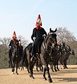 Horseguards - Blues and Royals - Releve a Whitehall - Londres.JPG