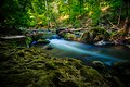 Irreler Wasserfälle, Naturpark Südeifel.jpg