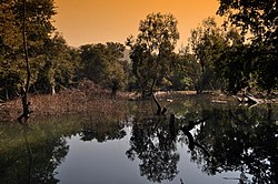 Sita Mata Doğal Hayatı Koruma Alanı'ndaki Jakham Nehri