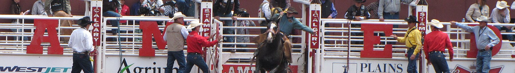 Calgary Stampede