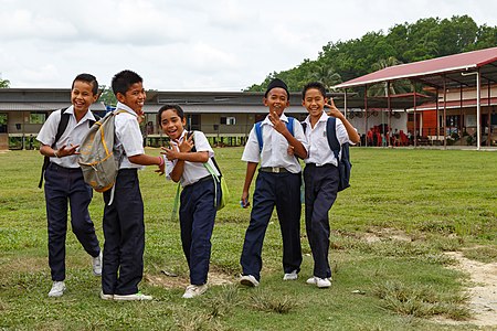 Pendidikan rendah di Malaysia