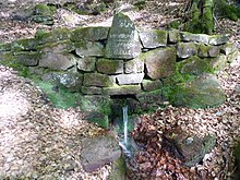 Kirchbrunnen als Kropsbachquelle