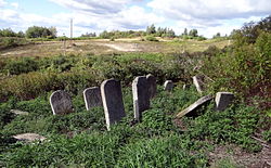 English: Jewish cemetery in Krzeszów, subcarpathian voivodeship Polski: Cmentarz żydowski (Kirkut) w Krzeszowie, w powiecie niżańskim