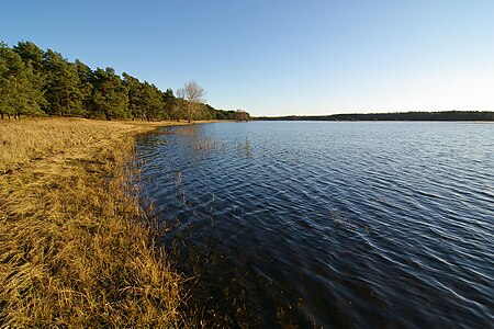 LaascherSee