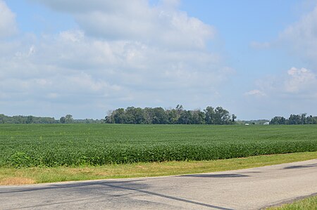 Liberty Township soybean fields