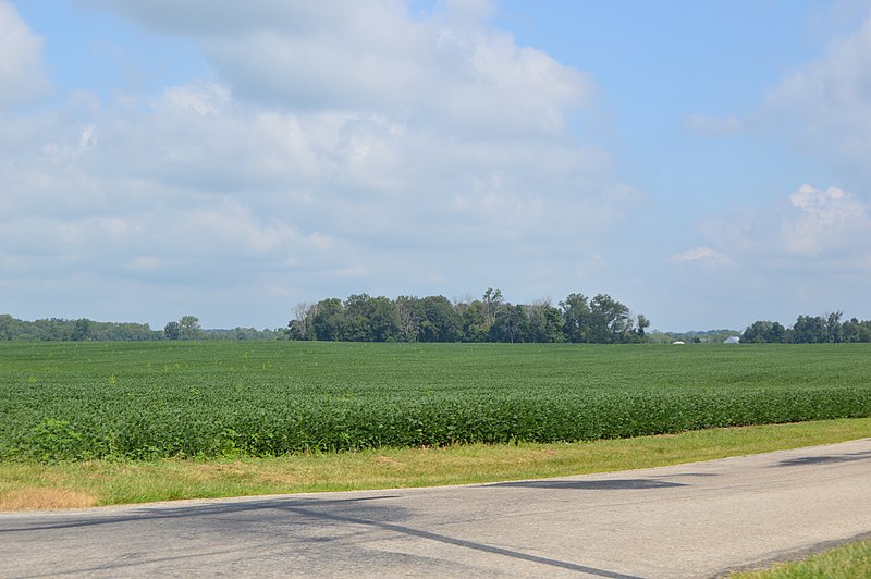 File:Liberty Township soybean fields.jpg